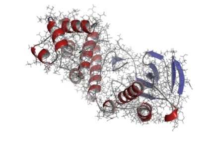 p38 MAP Kinases - Creative BioMart 